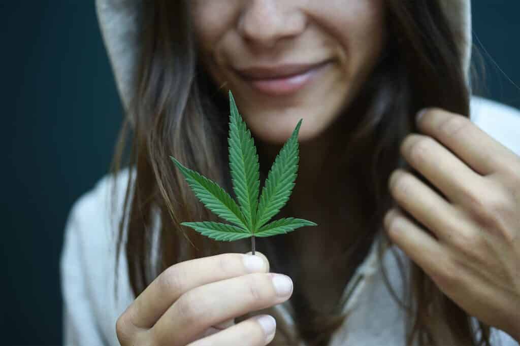 cannabis popular