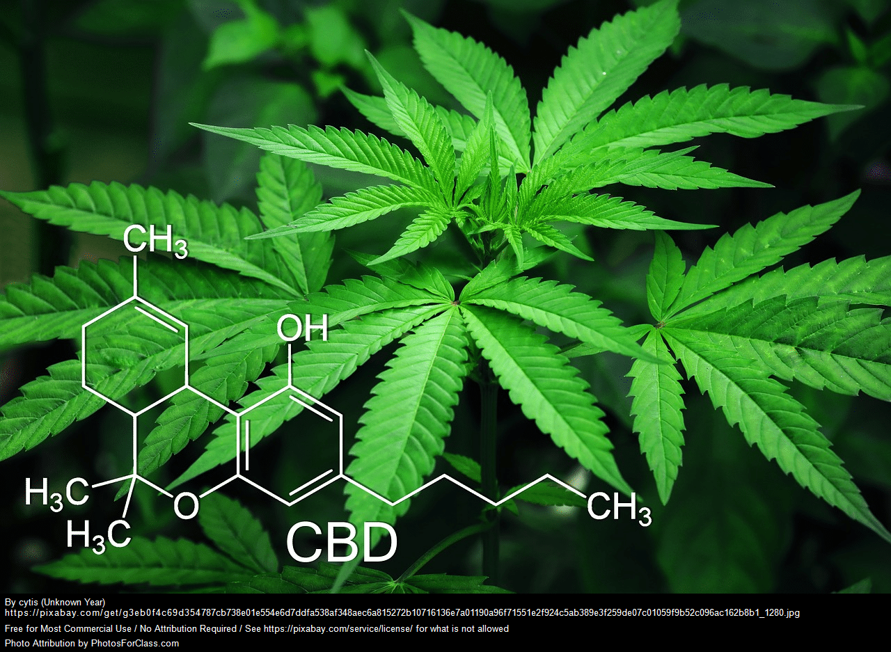 Mitos sobre el cannabis alto en CBD