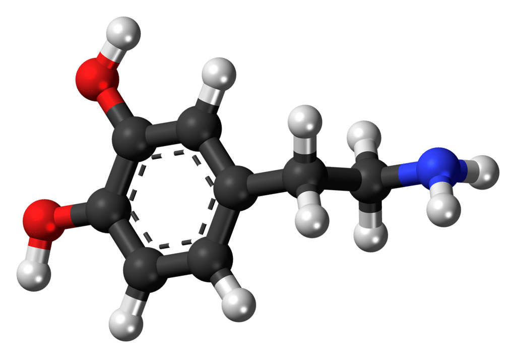 relación entre el cannabis y la dopamina