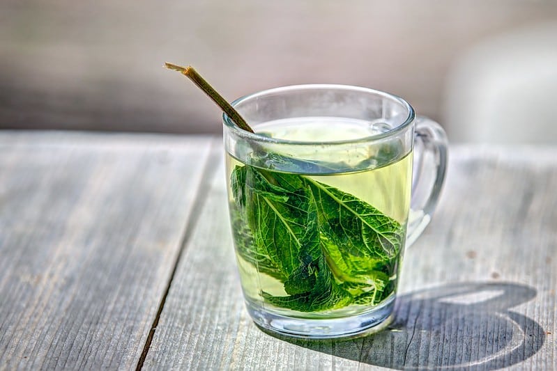 Preparar té verde con manzanilla y cannabis