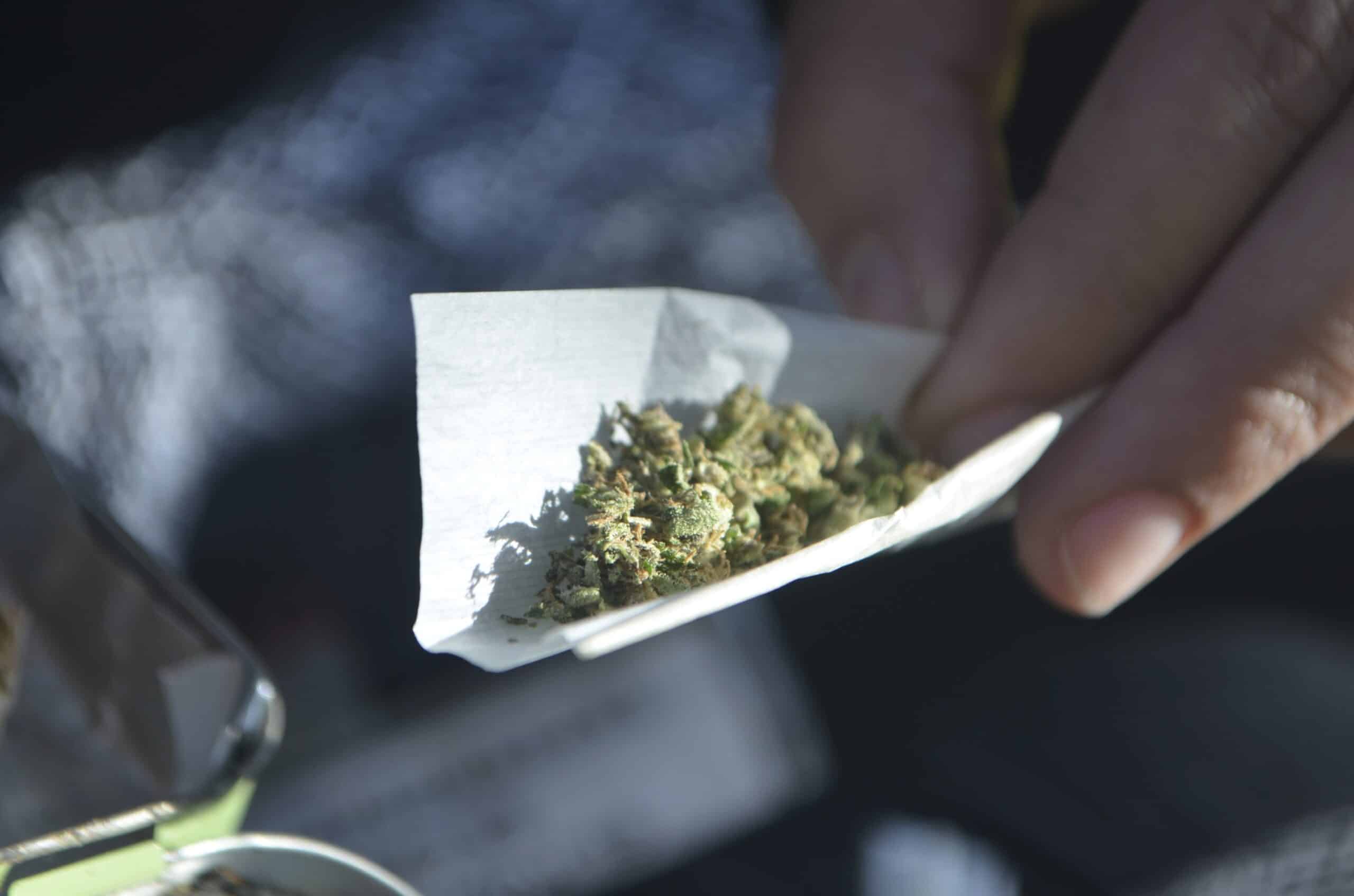 La legalización disminuyó el consumo en adolescentes